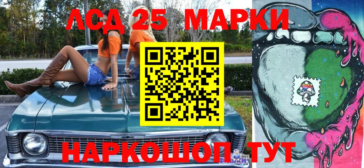Бердск  купить наркотик  Марки NBOMe  Вход с VPN  Марки N-bome 1,5мг 