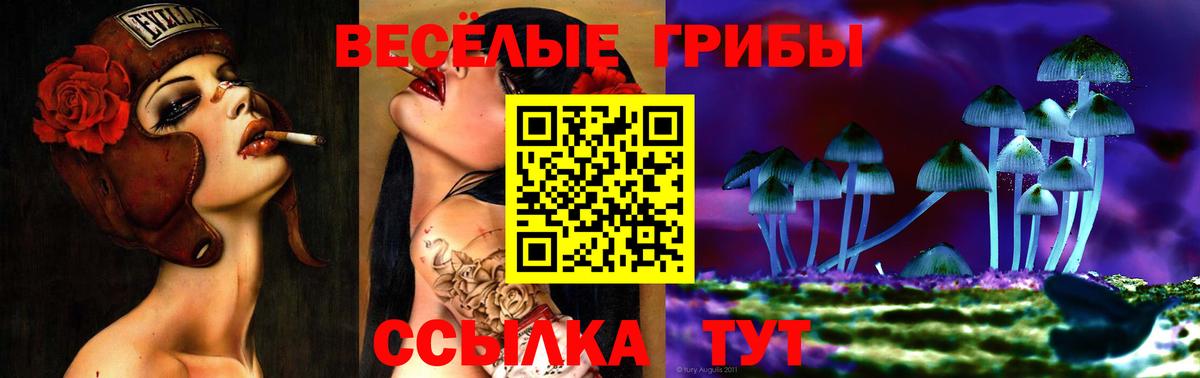 Бердск  Псилоцибиновые грибы Psilocybine cubensis  Галлюциногенные грибы прущие грибы  Вход с VPN 